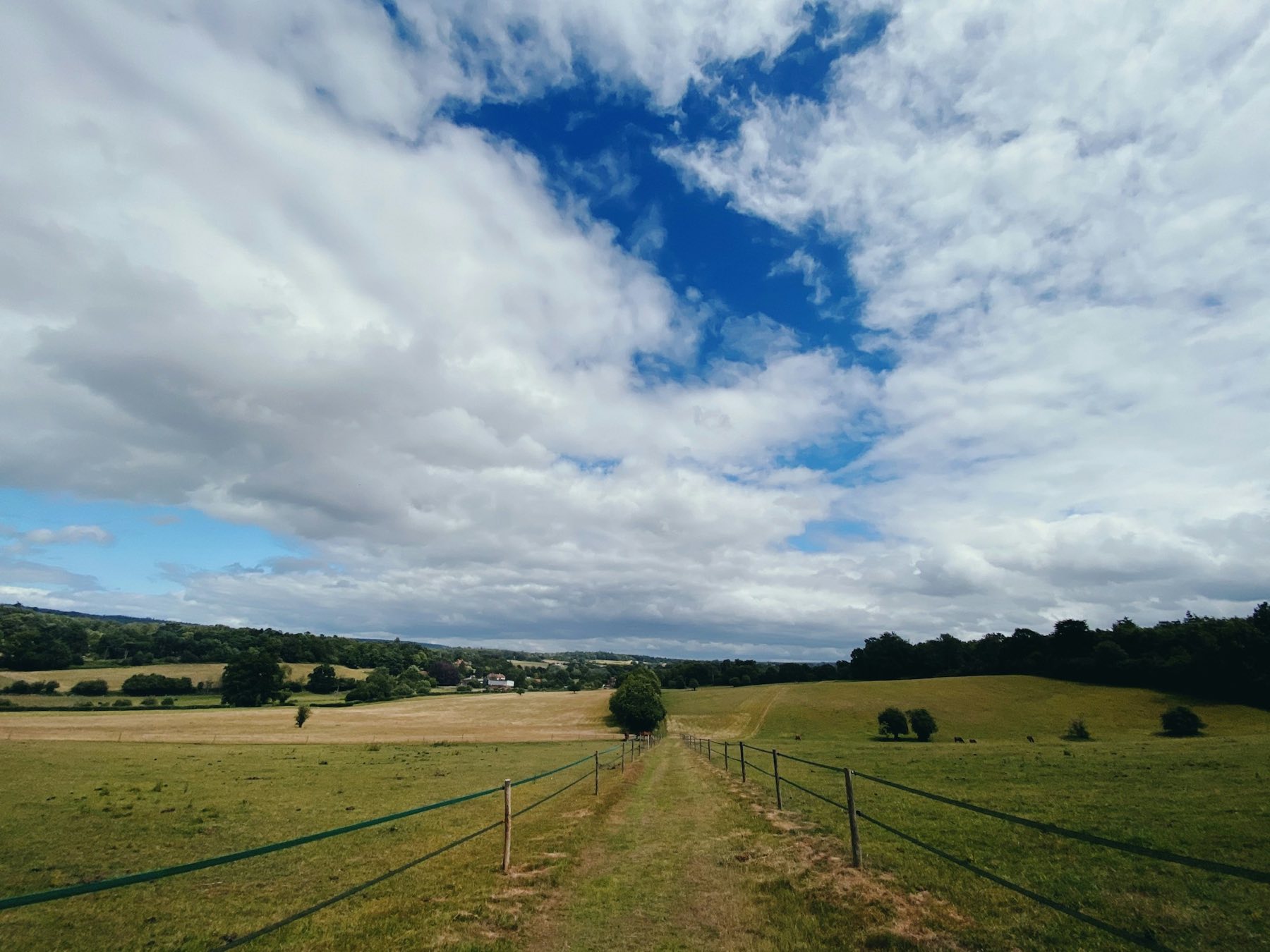 Rolling Surrey Hills countryside with fields and woodland